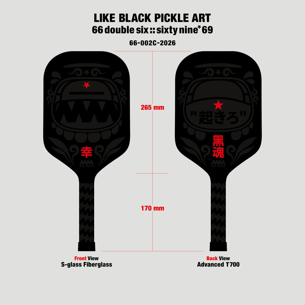 4A Pickle Paddle 66-002C-2026