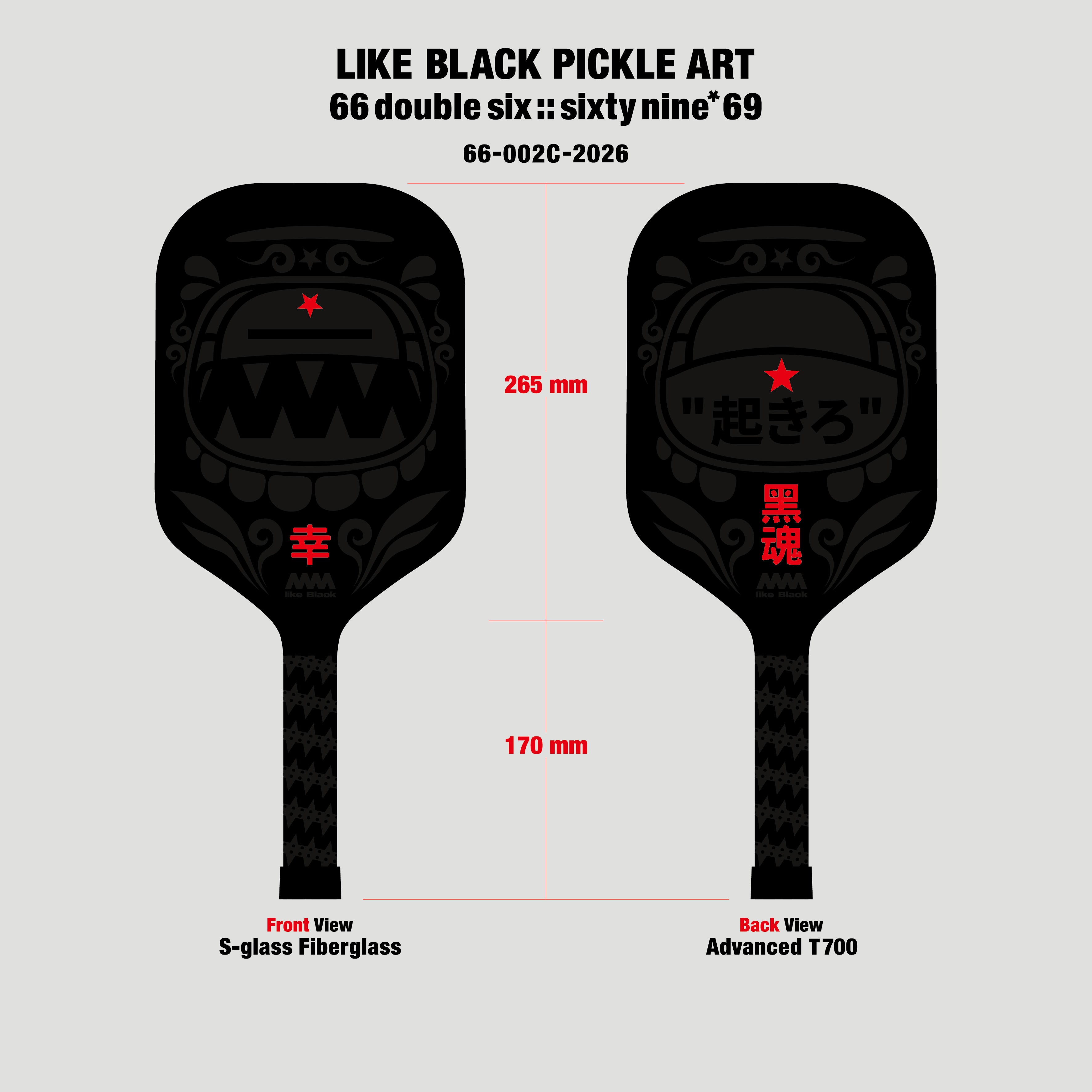 4A Pickle Paddle 66-002C-2026