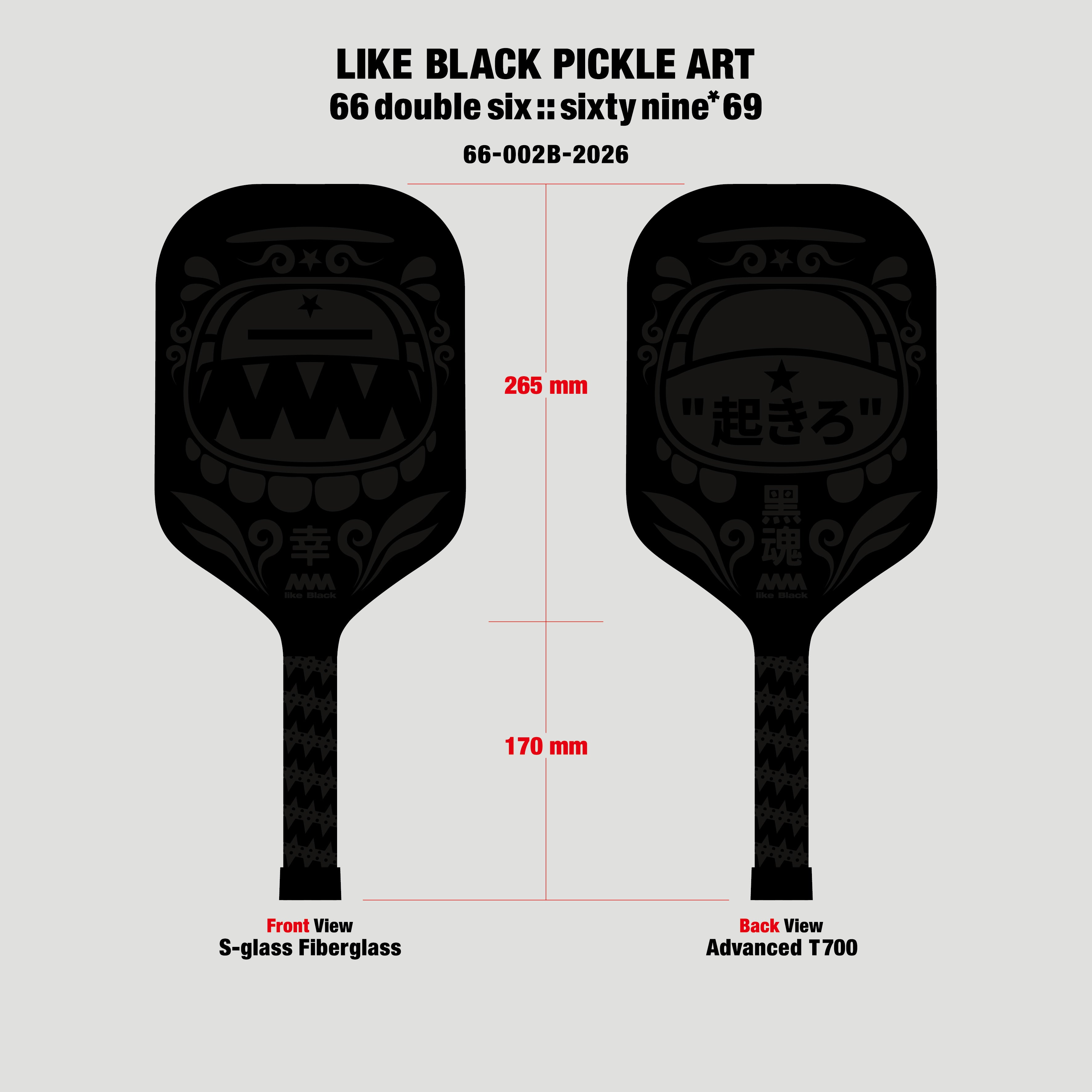 4A Pickle Paddle 66-002A-2026